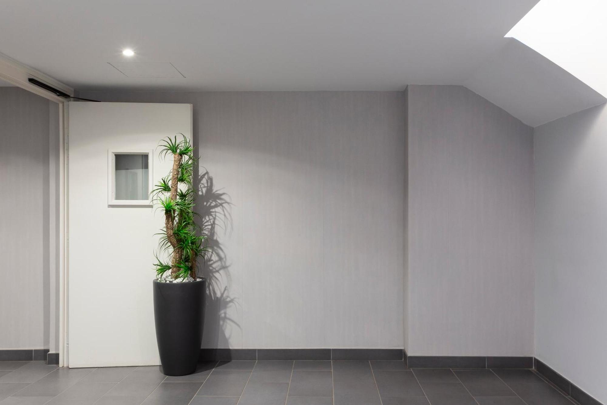 לה גרנד מוט Chez Martin - Spacieux Appartement Climatise Proche De La Plage מראה חיצוני תמונה