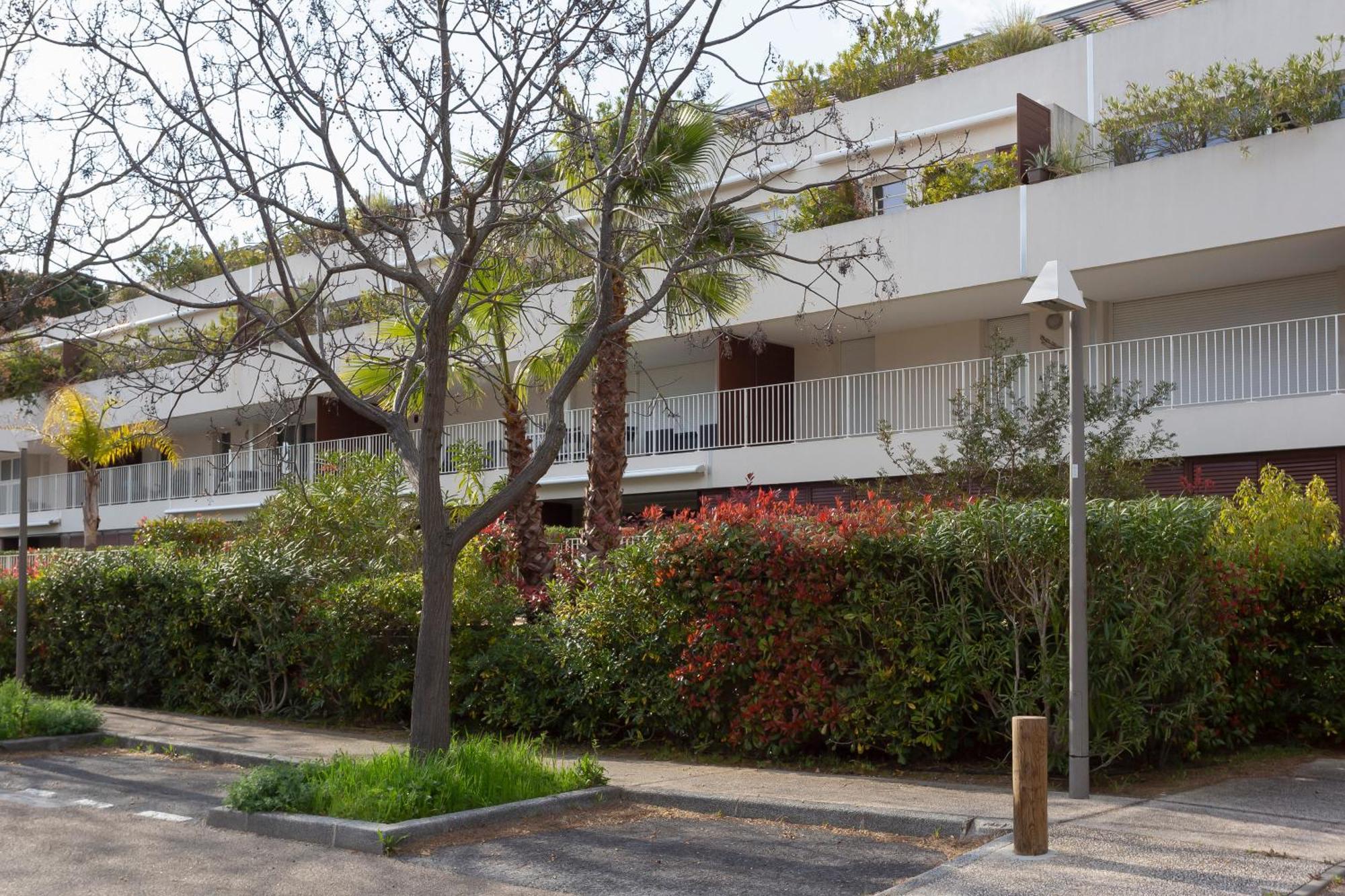לה גרנד מוט Chez Martin - Spacieux Appartement Climatise Proche De La Plage מראה חיצוני תמונה